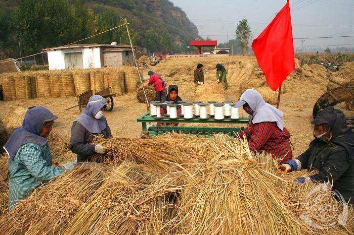 0159稻草编出致富路1.JPG